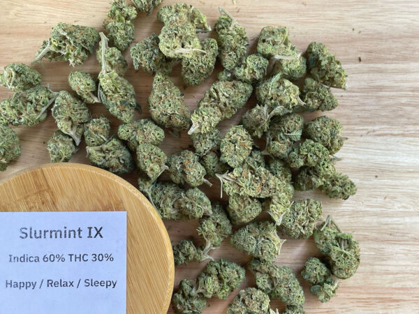 Slurmint IX