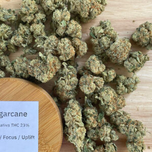Sugarcane