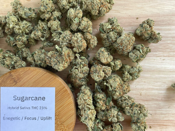 Sugarcane